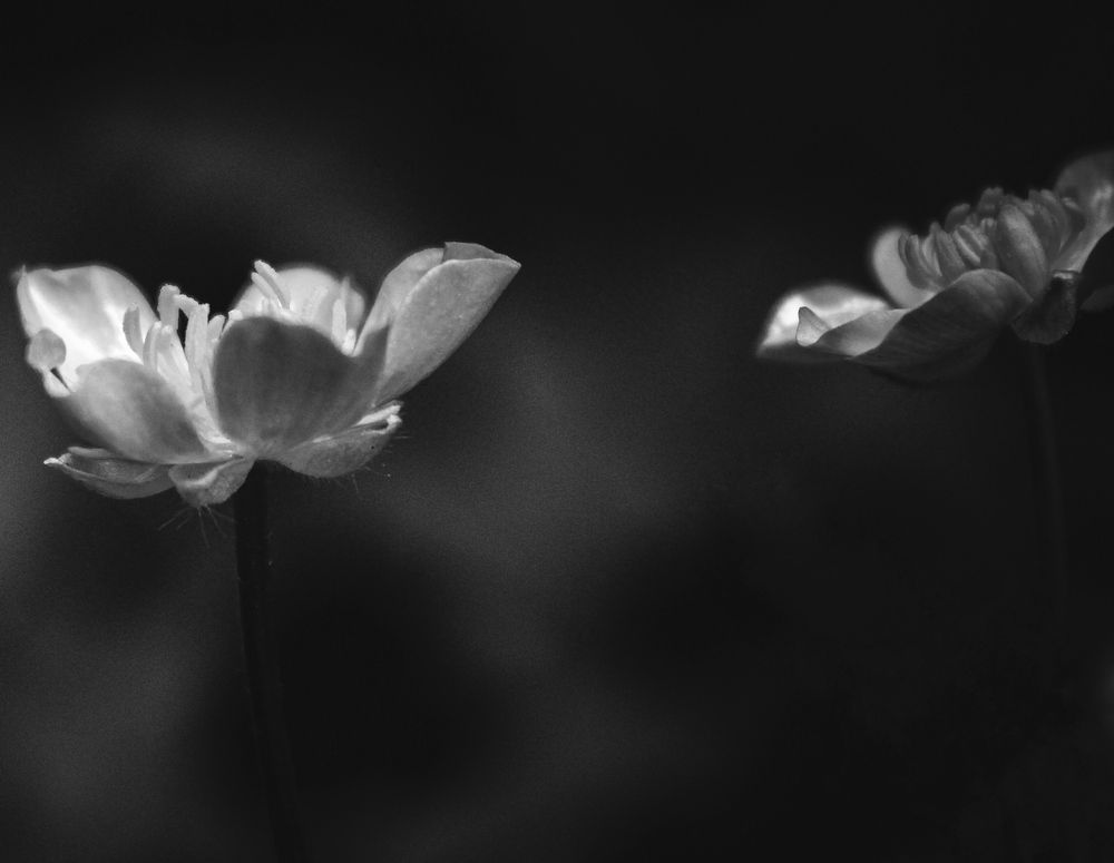 Photograph by Кристина Полякова