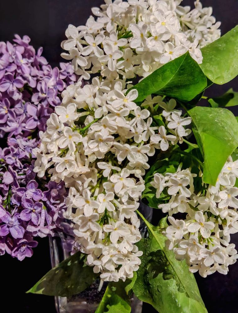 Photograph by Ирина Савостикова