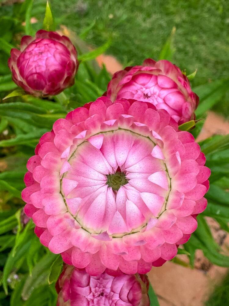 Photograph by Leonor Hernandez