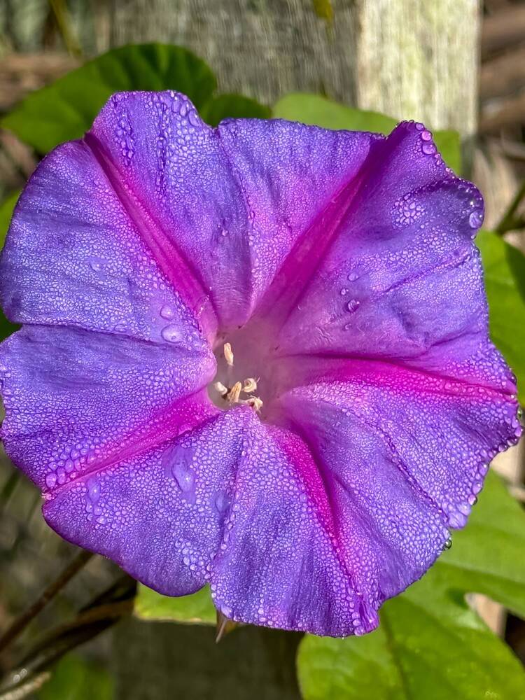 Photograph by Leonor Hernandez