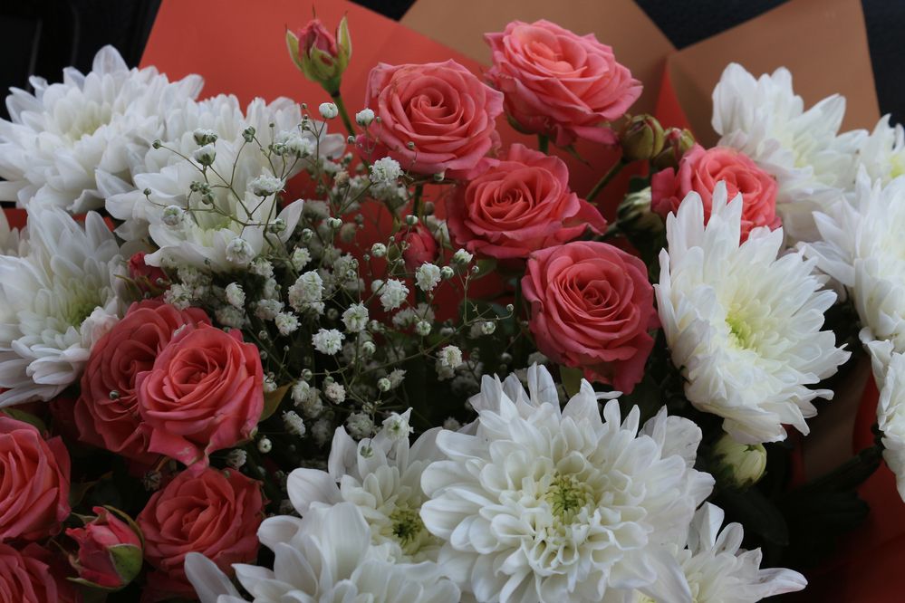 Photograph by Ирина Савостикова