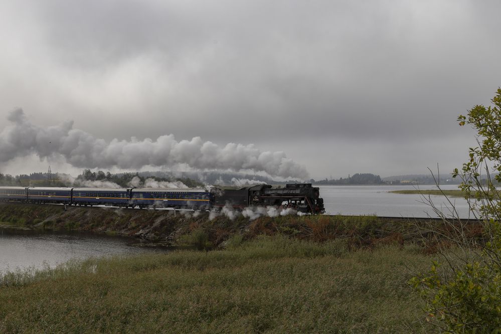 Photograph by Юлия Яковлева