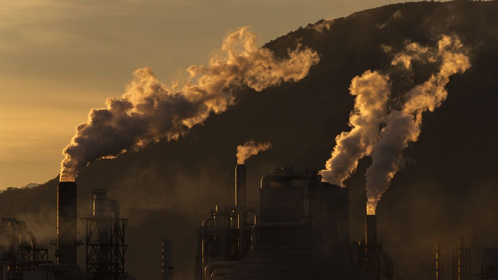 Photograph by Luca Menotti