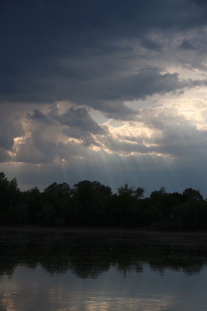 Фотография автора Лилия Хохлова