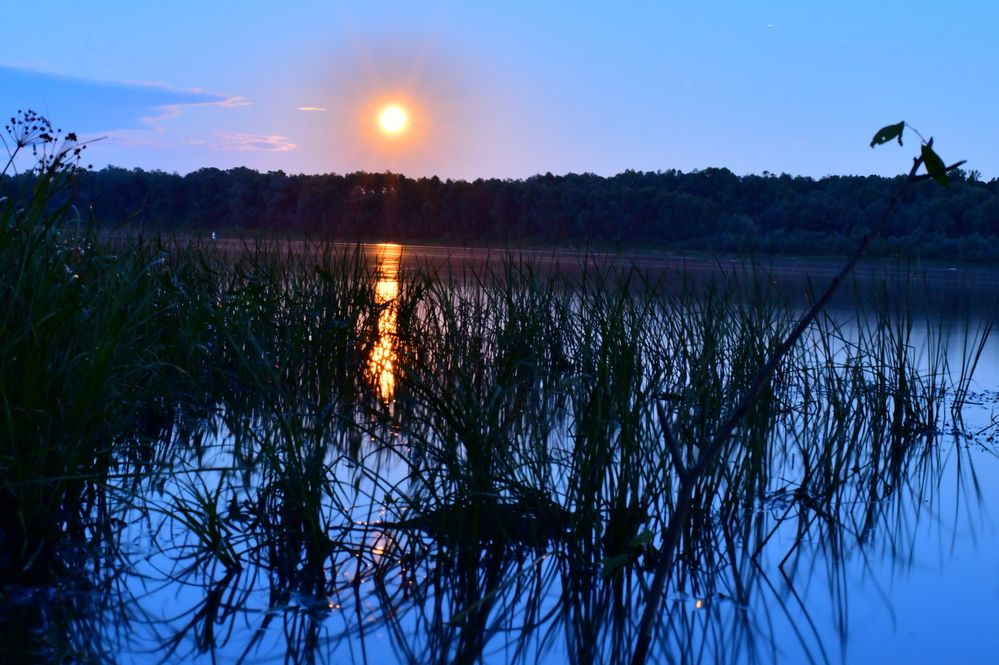 Photograph by Николай Абакумов