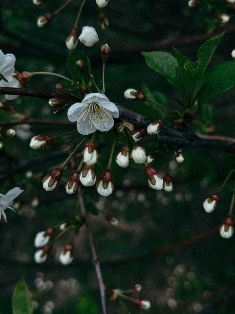 Photograph by Наталья Чехова