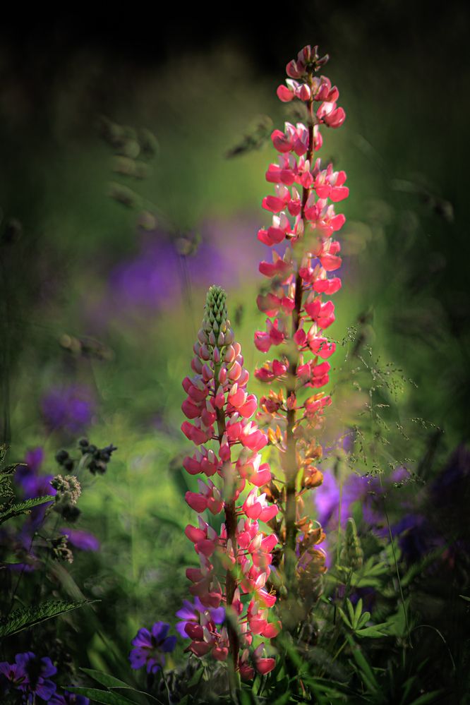 Фотография автора Владимир Барсуков