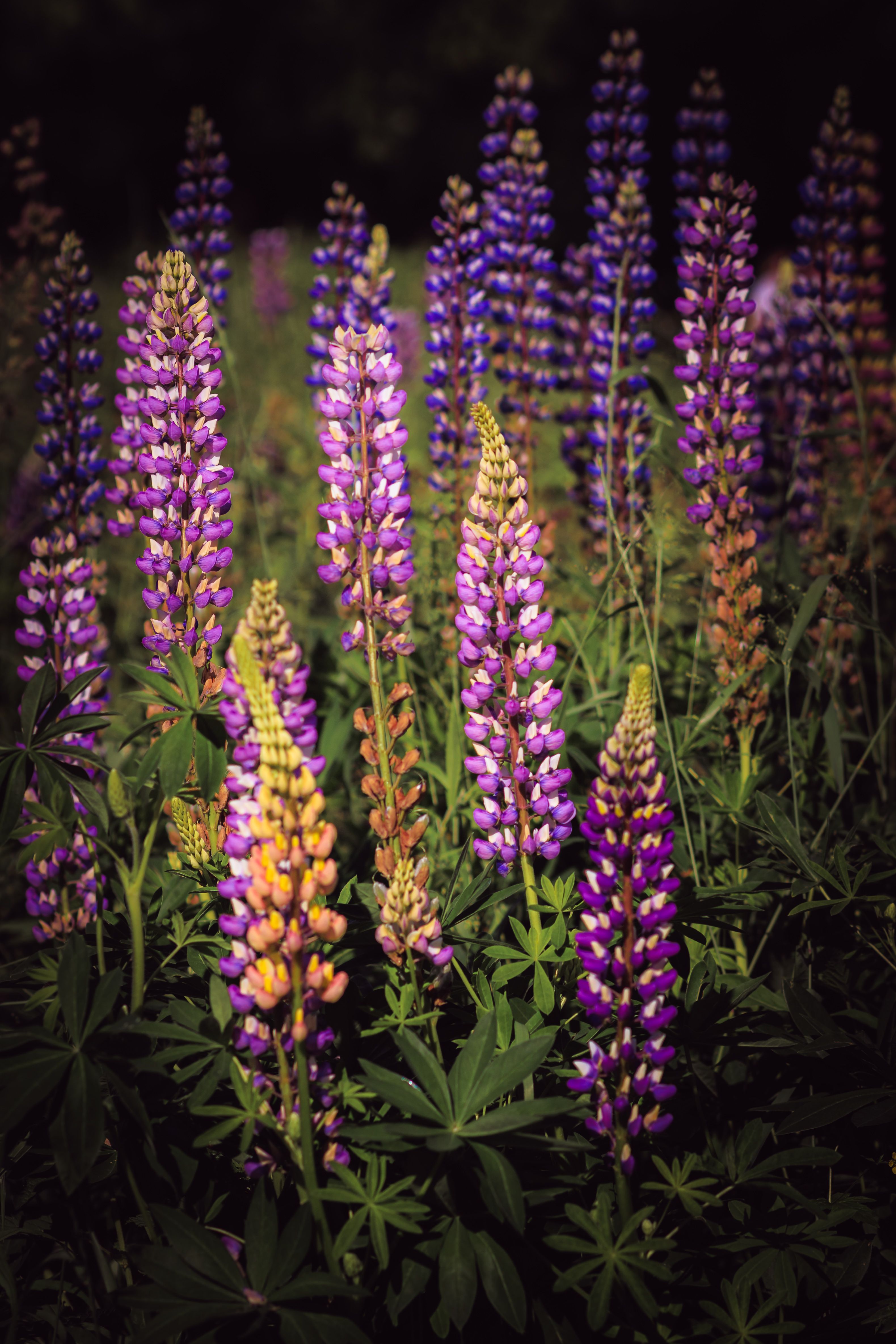 Фотография автора Владимир Барсуков