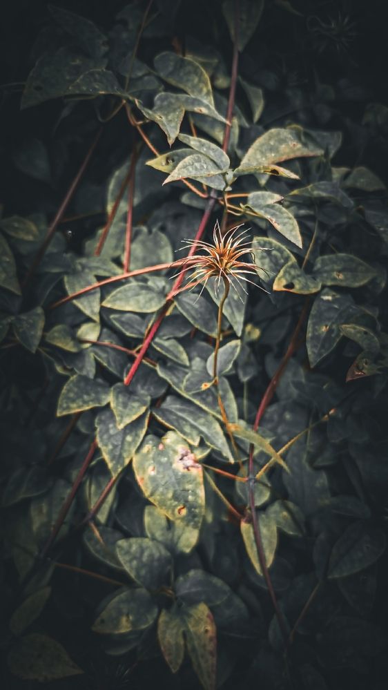 Photograph by Максим Торохов