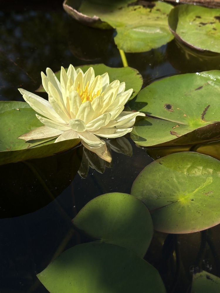 Фотография автора Татьяна Брык