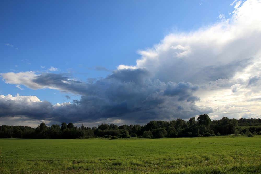 Photograph by Олег С