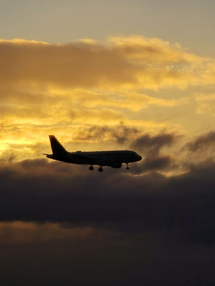 Photograph by Светлана