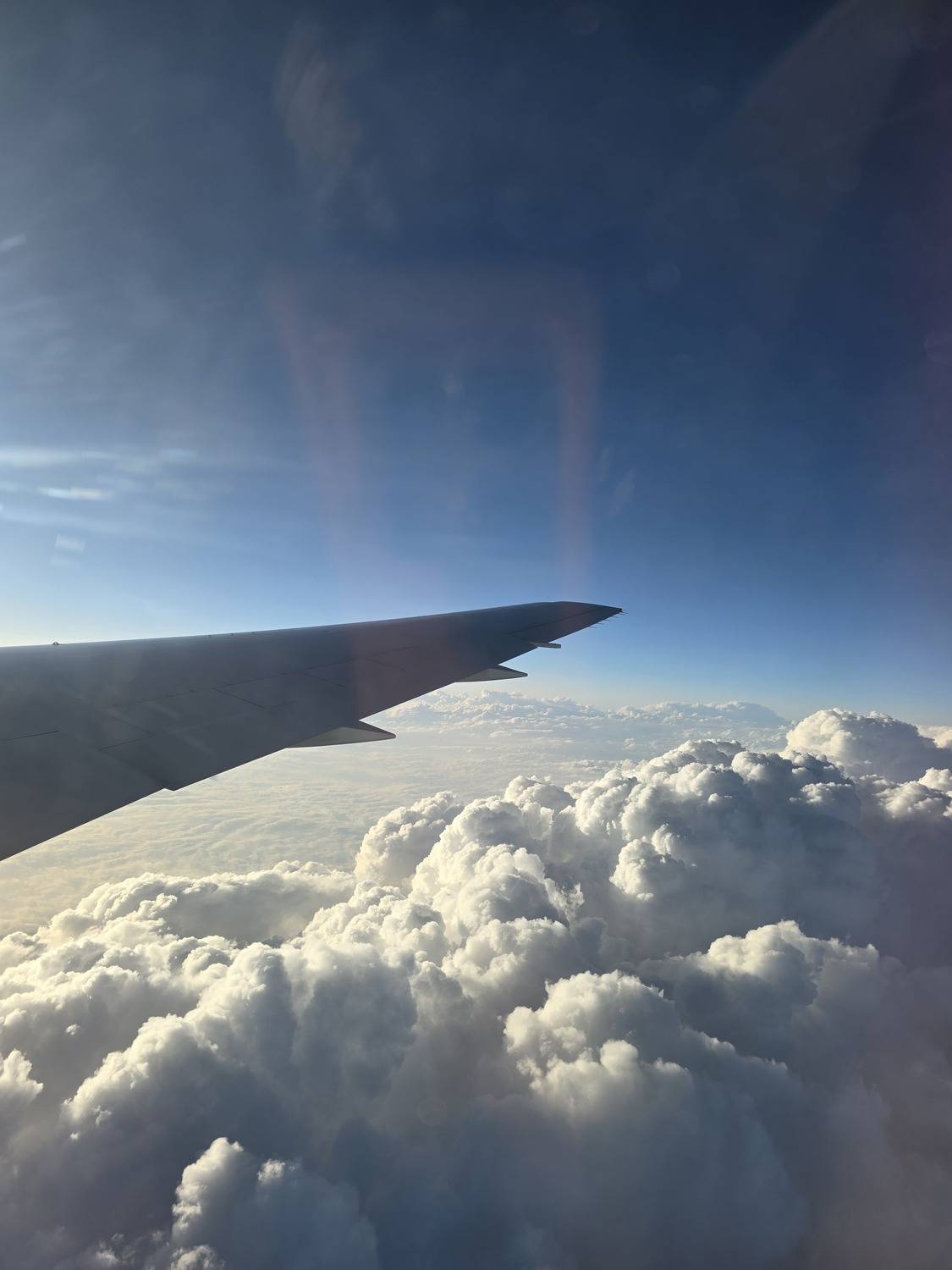 Photo #12510417