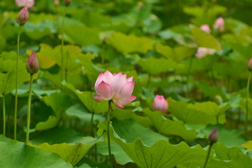 Photograph by Ольга Садохова