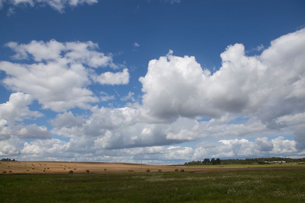 Photograph by Екатерина Кузнецова