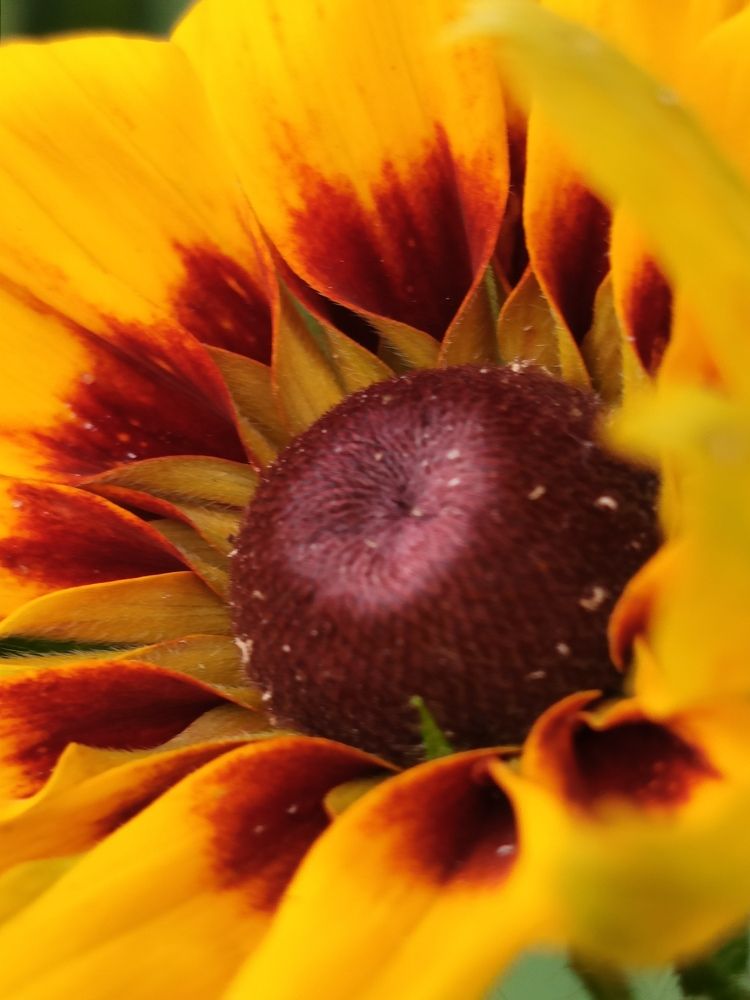 Photograph by Галина Смирнова