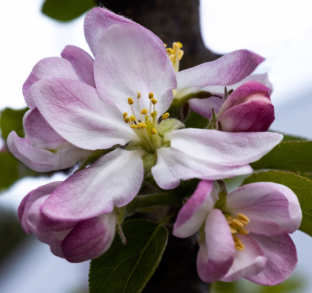 Photograph by Олеся Грекова