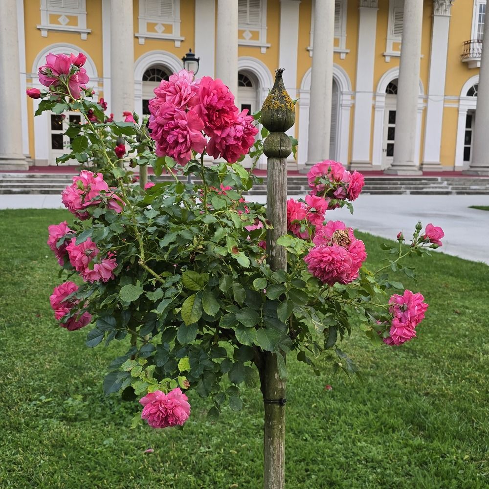 Photograph by Yulia Rotbach