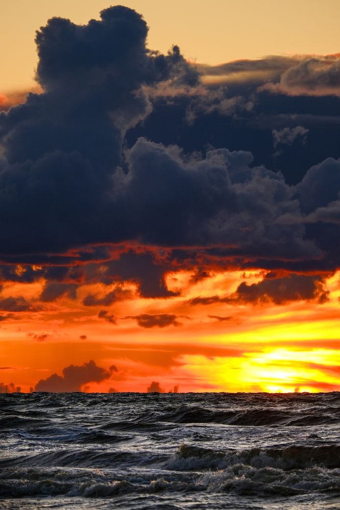 Фотография автора Elvijs Kalnins