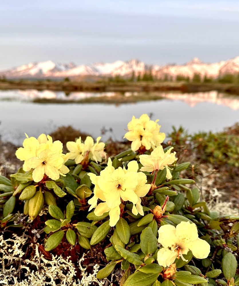 Фотография автора Голубков Леонид