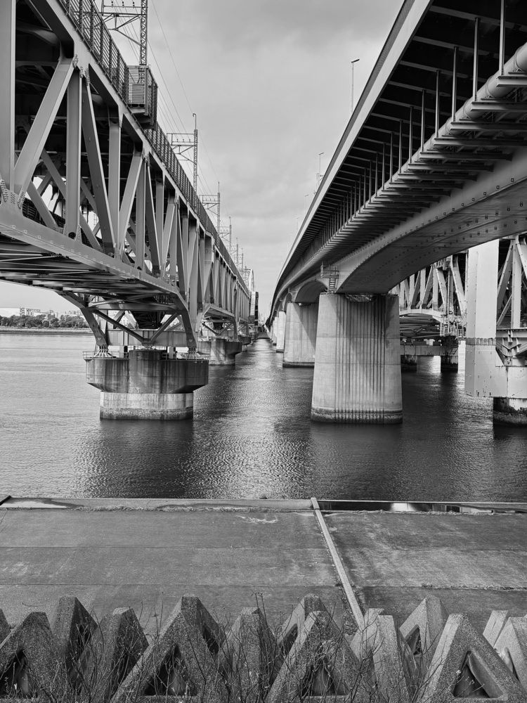 Photograph by Nagasaki Marina