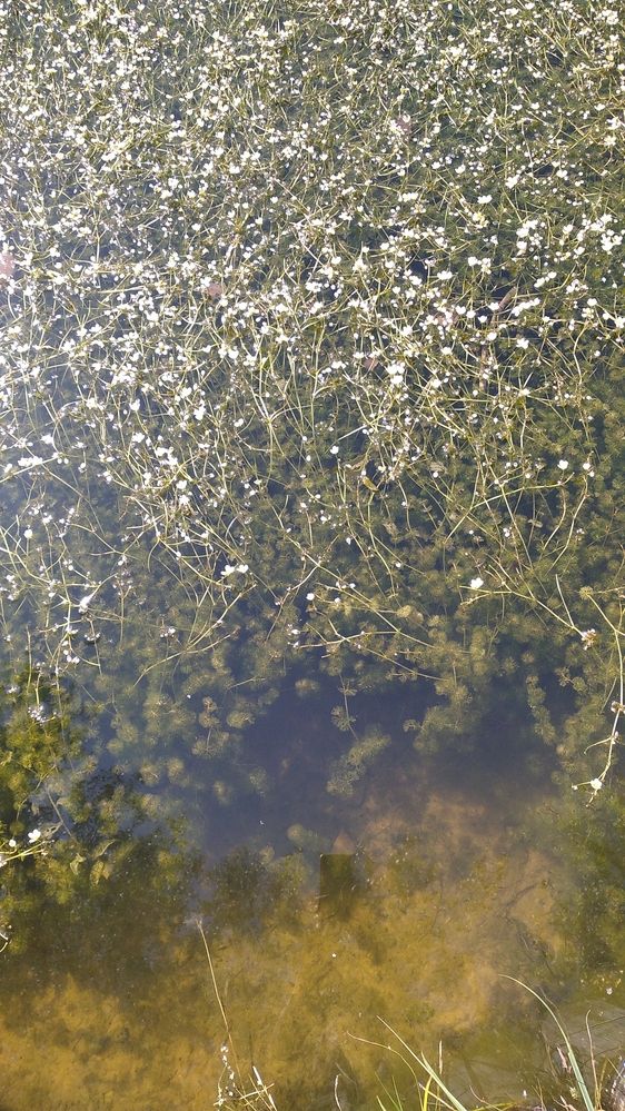 Photograph by Галина Трофимова