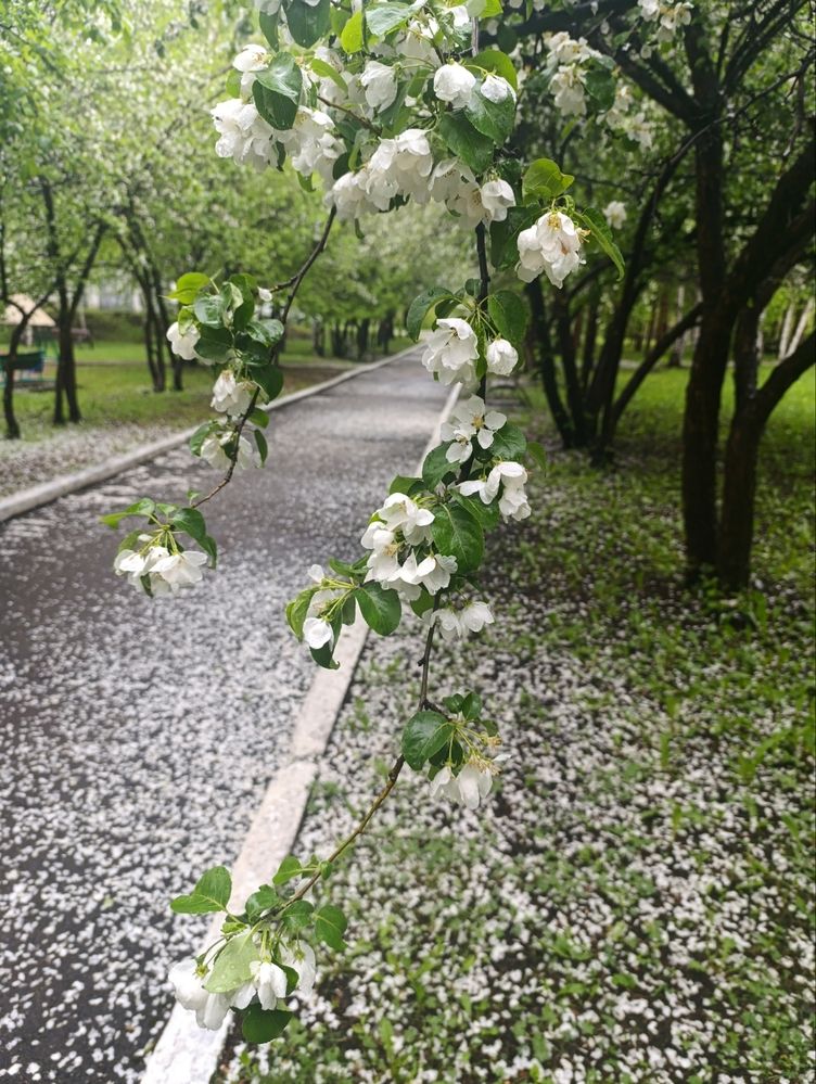 Photograph by Алена Марченко