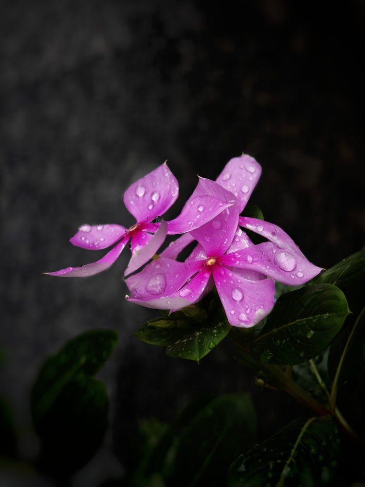 Photograph by Aditya Pawar