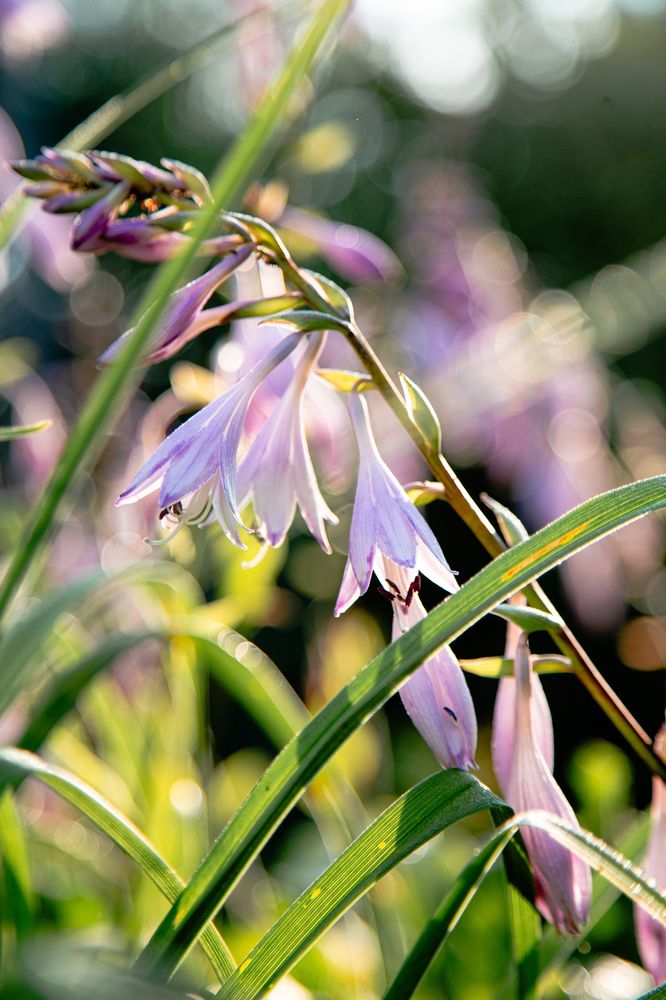 Photograph by Ника Прокопенко