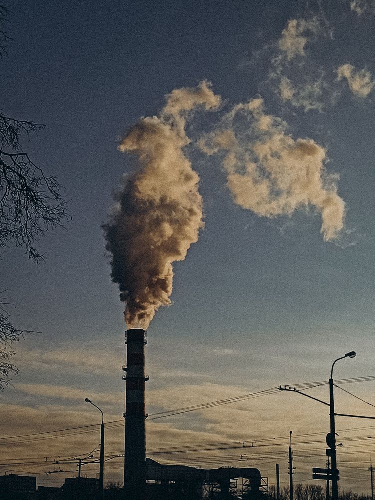 Фотография автора Ирина Романовская