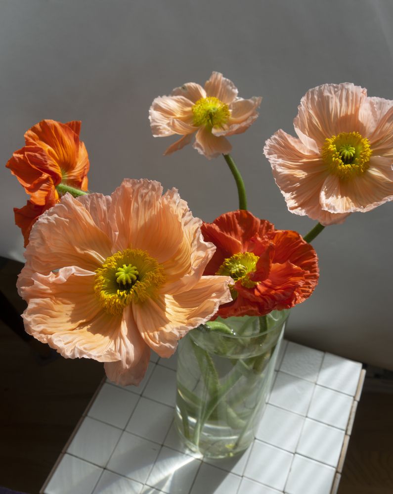 Photograph by Андрей Семенков