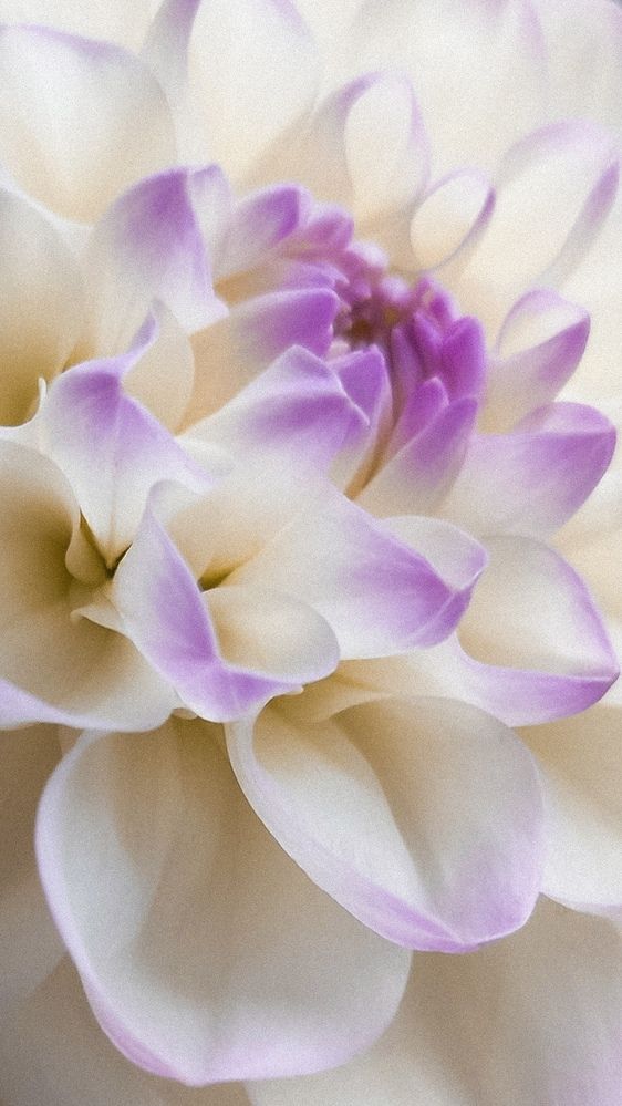 Photograph by Евгения Гродинская