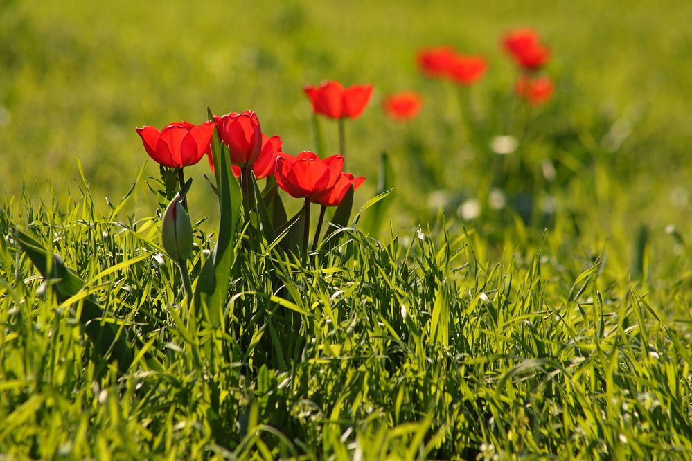 Фотография автора Александр Кожевников