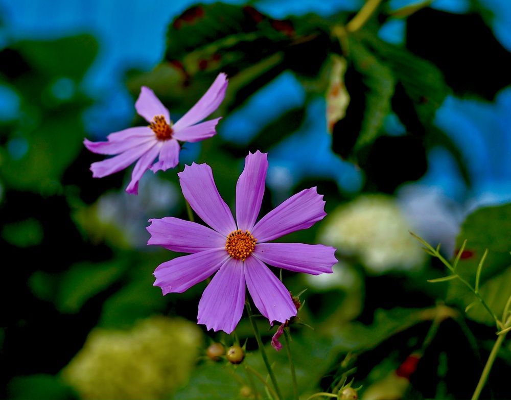 Photograph by Валерий Мыльников