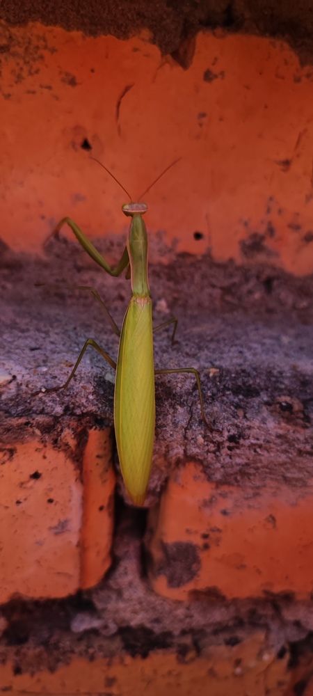 Photograph by Екатерина Александровна