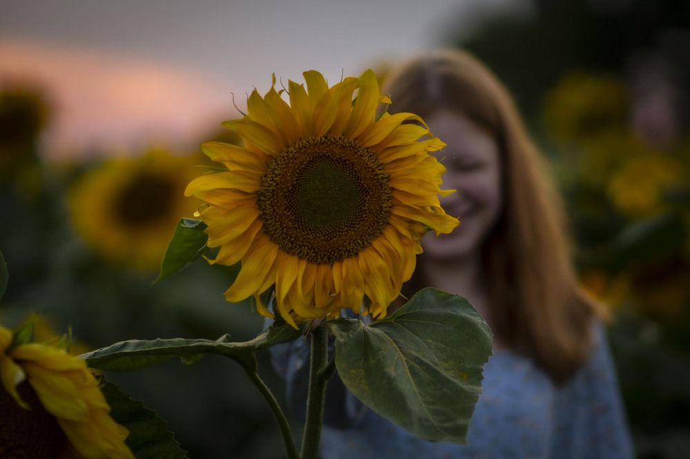 Photograph by Крупченко Роман