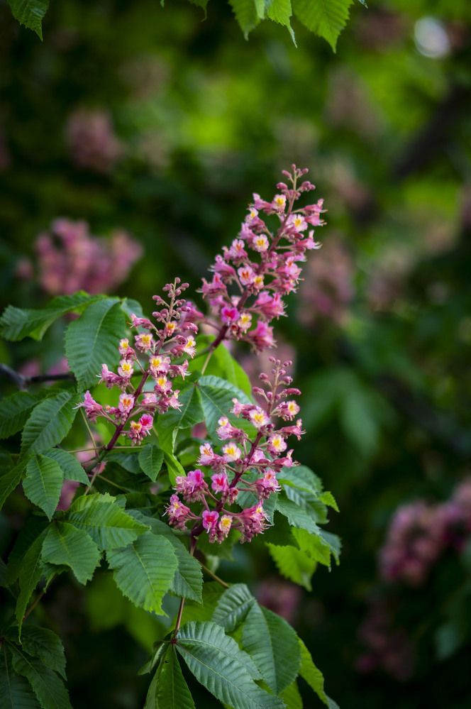 Photograph by Крупченко Роман