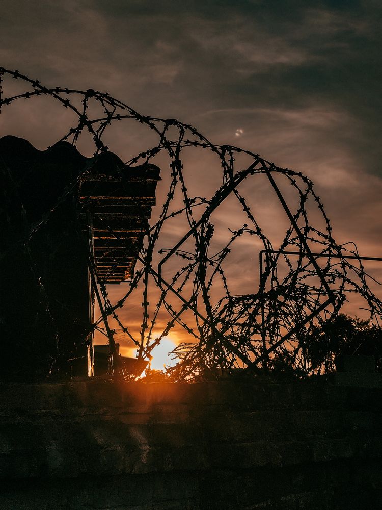 Фотография автора Любовь