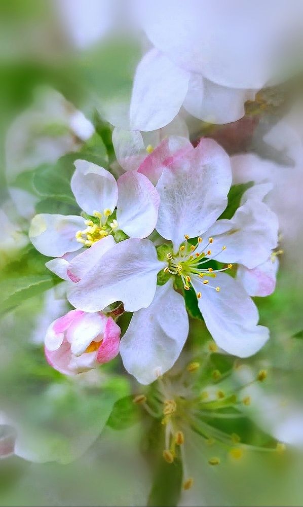 Photograph by Алла Холодова