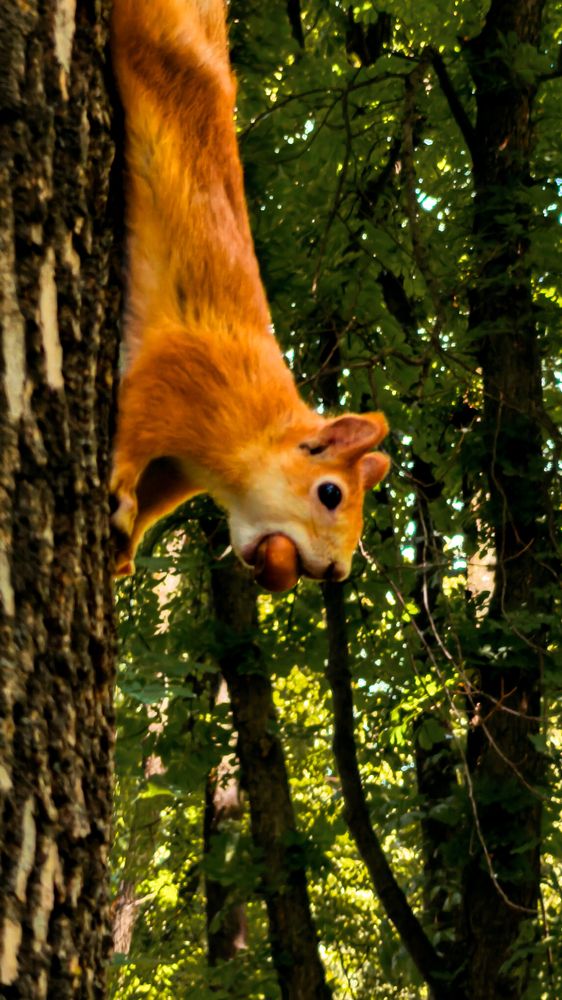 Фотография автора Любовь