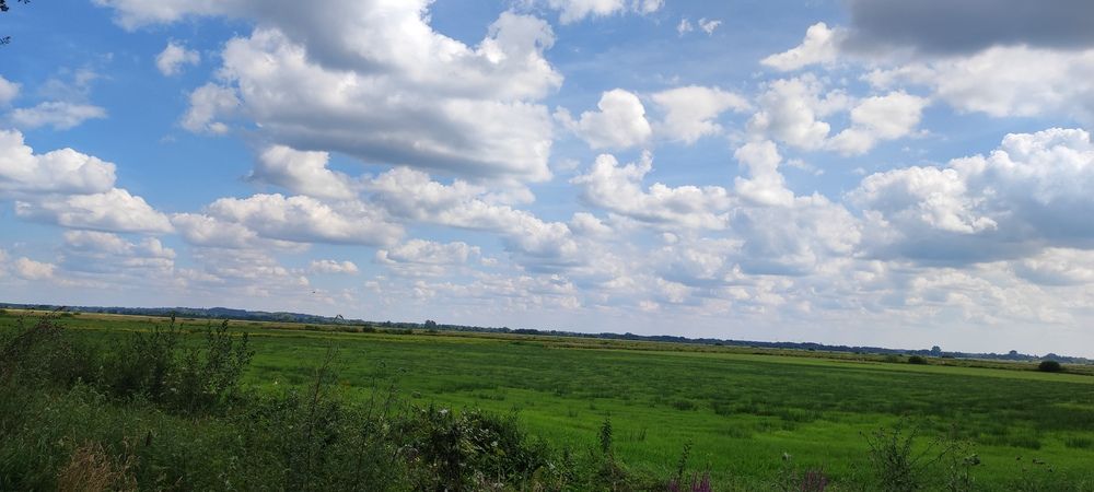 Photograph by Olga Dzemianiuk