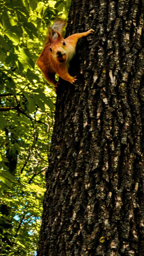 Фотография автора Любовь