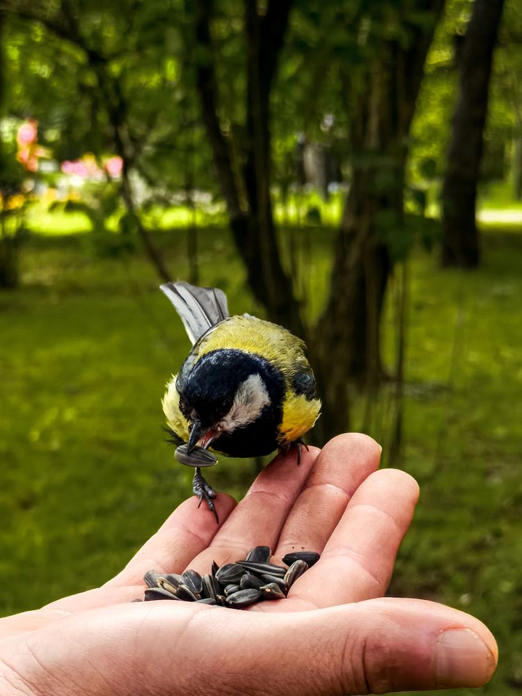 Фотография автора Любовь