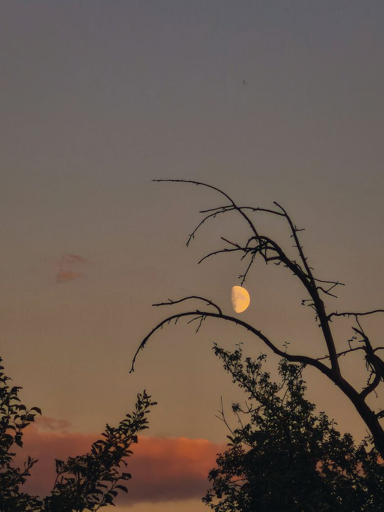 Фотография автора Любовь