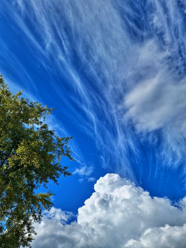 Photograph by Алена Самошина