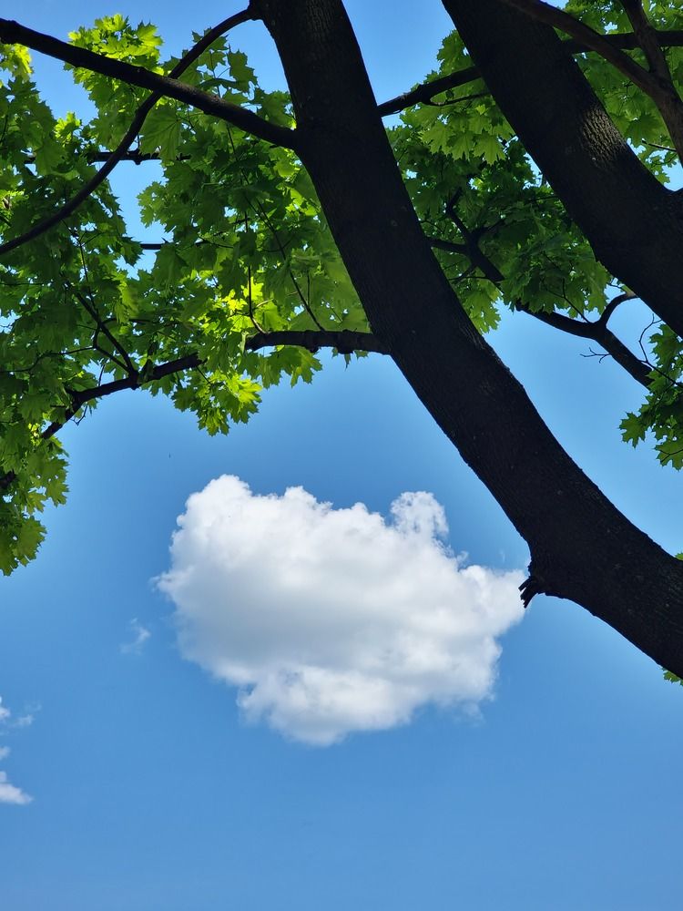 Photograph by Алена Самошина