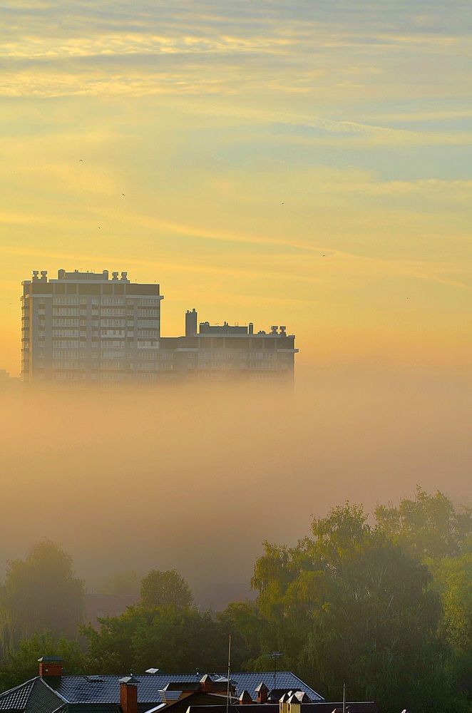 Photograph by Алена Самошина