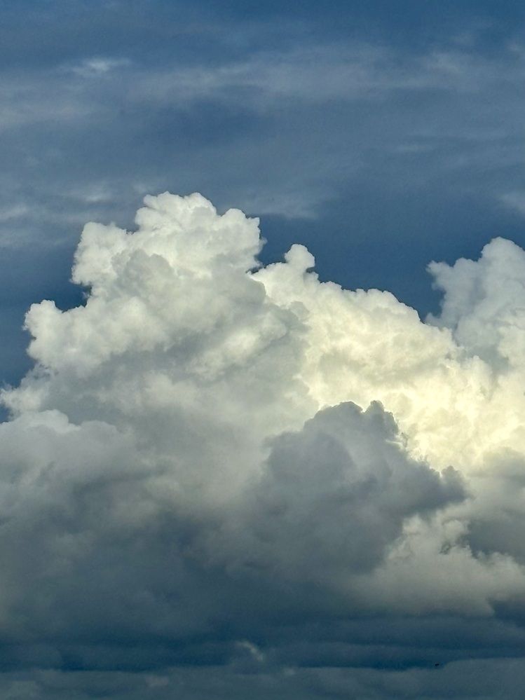 Photograph by Nagasaki Marina