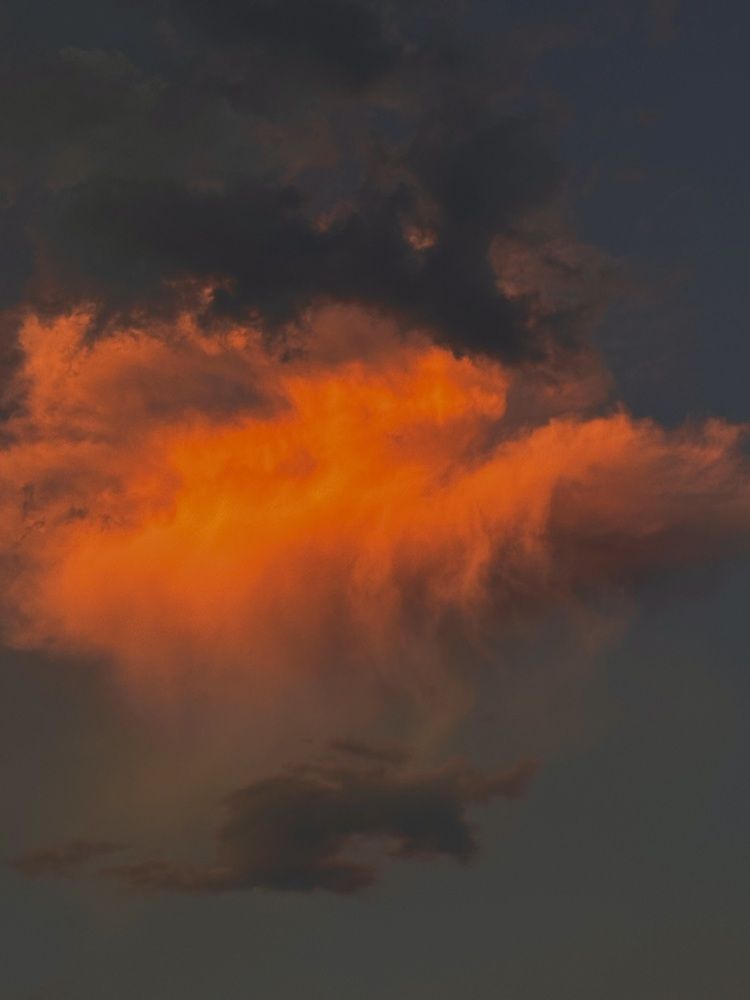 Photograph by Nagasaki Marina