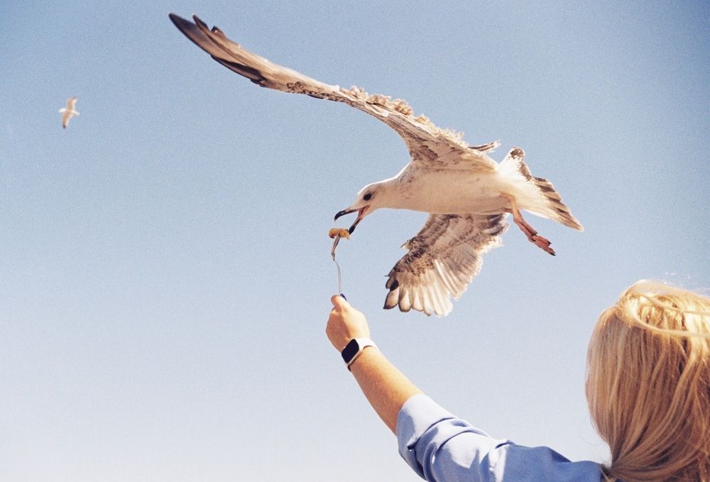 Photograph by Serafim Iarygin